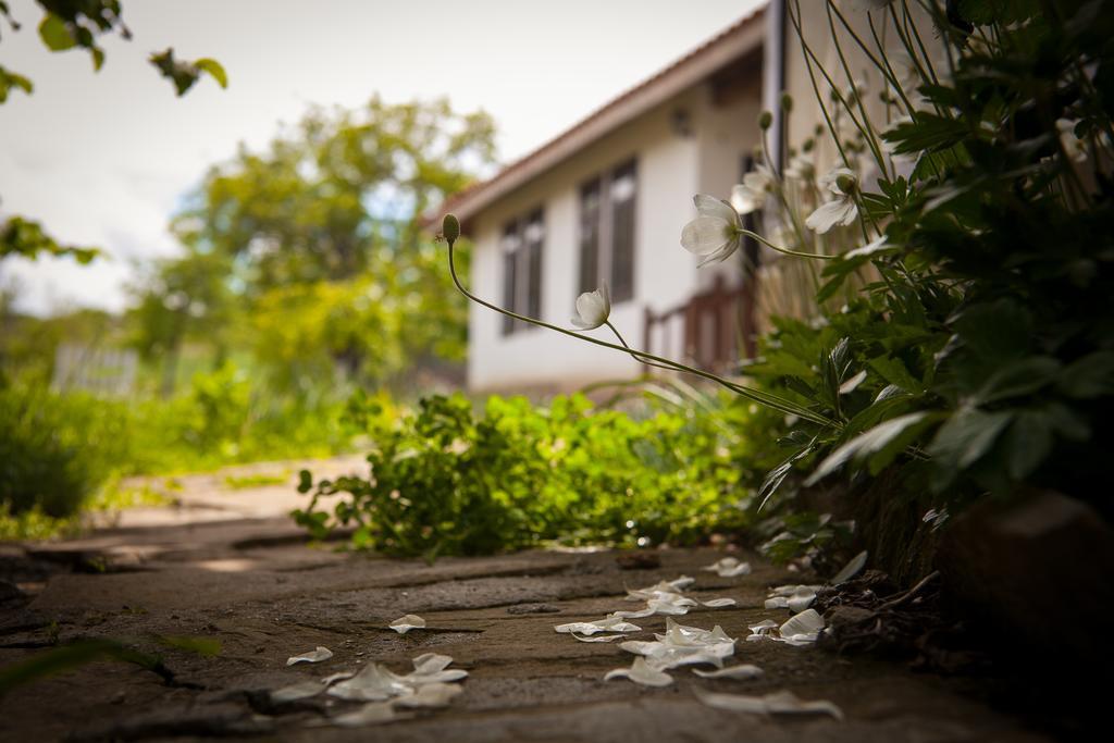 Mutafova Guest House ヴェリキー・プレスラフ エクステリア 写真